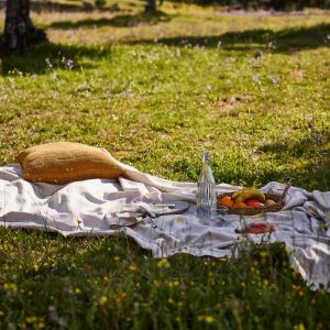 ideias-para-piqueniques-toalha-exterior-2