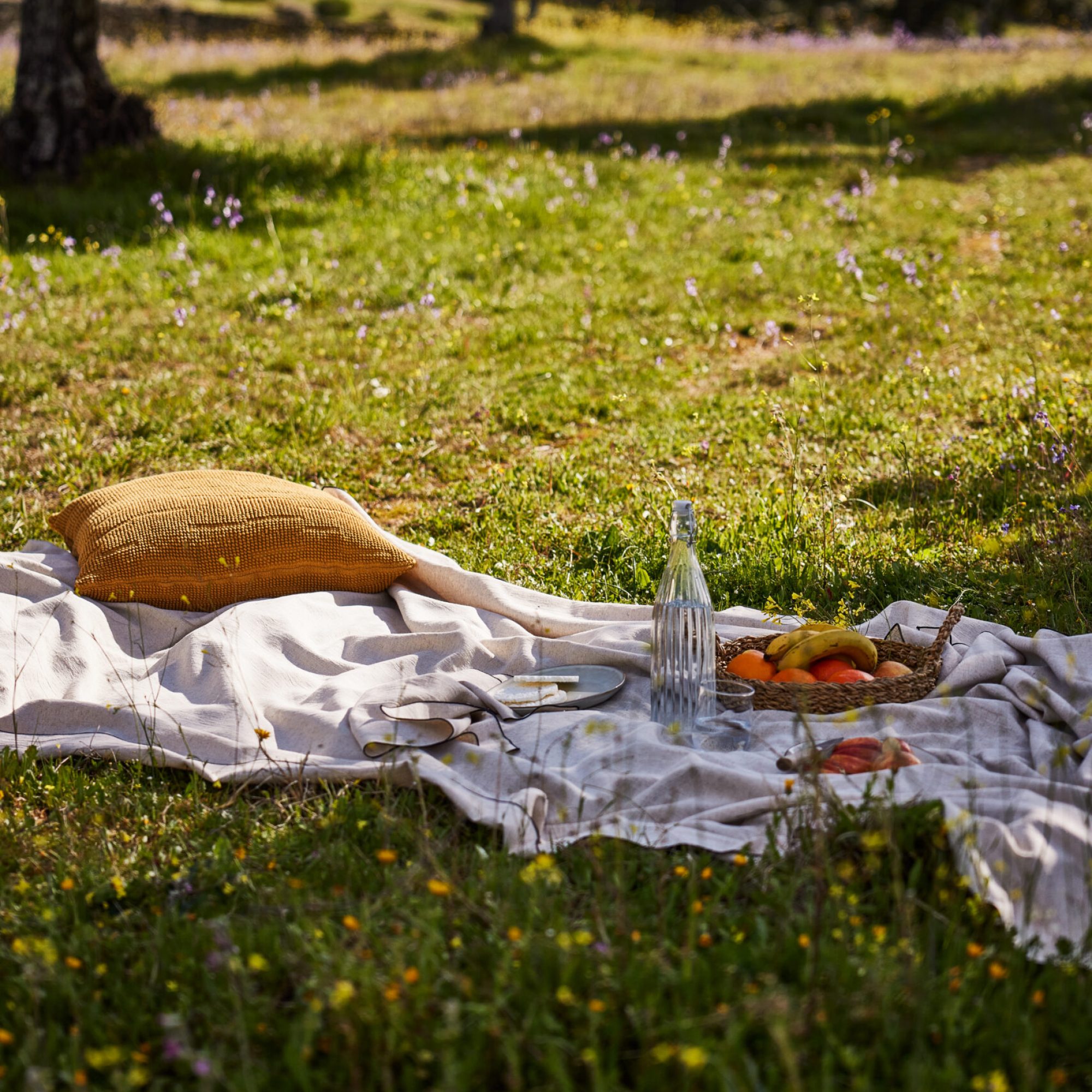 ideias-para-piqueniques-toalha-exterior-2