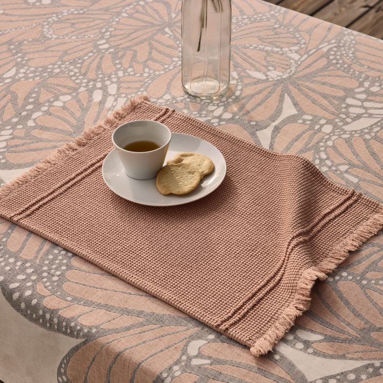 individual-salmao-biotic-1