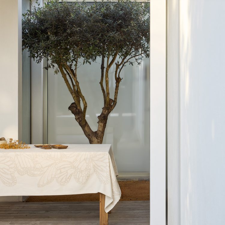 toalha-mesa-bege-wings-allover-1